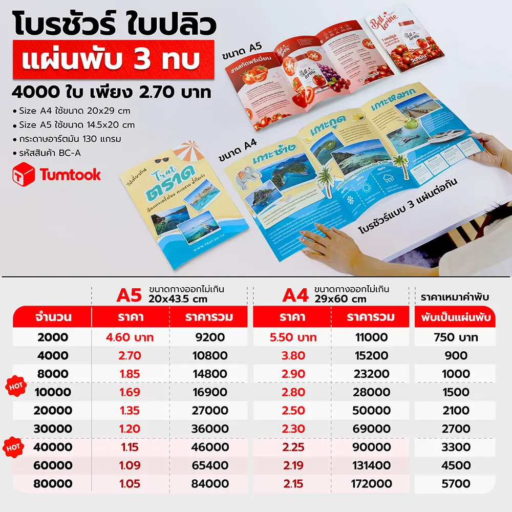 โบรชัวร์ พับ3ตอน